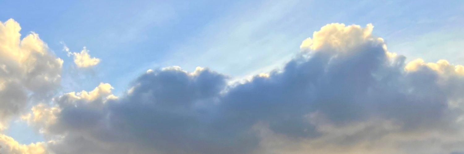 Ross Ulbricht's banner