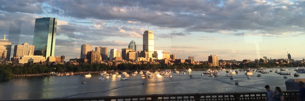 DrAdaStefanescu Profile Banner