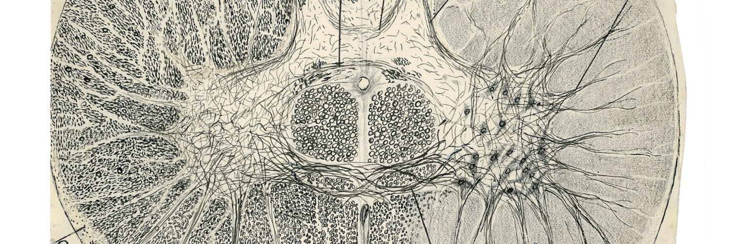 Anna Pace, MD (she/her) banner