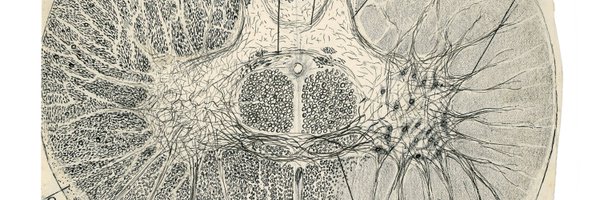 AEPaceMD Profile Banner