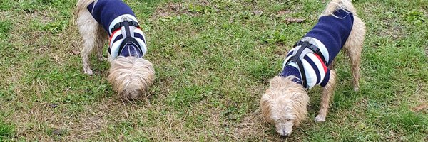 massimo4951 Profile Banner