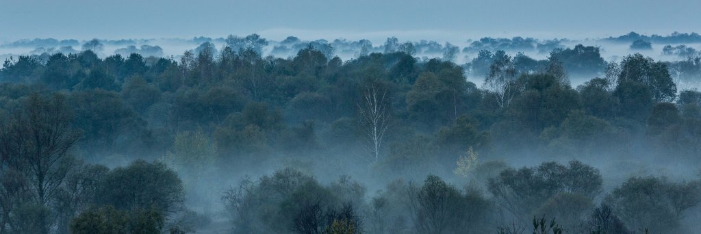 MaxTarnalitsky's profile banner image