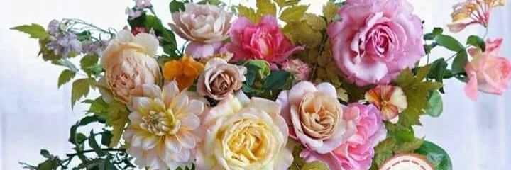 Masixol51331908's profile banner image