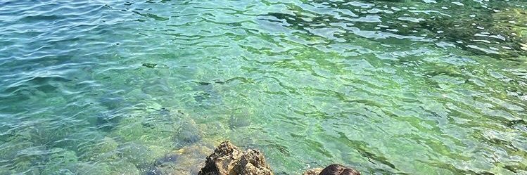 Balgalmesh_'s profile banner image