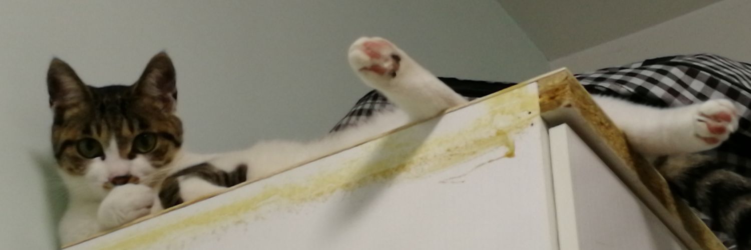 C咸鱼队长C banner