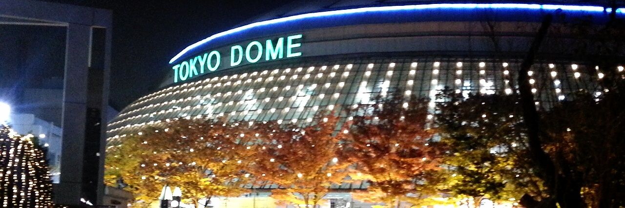 ひーﾟ･*:.｡❁ banner