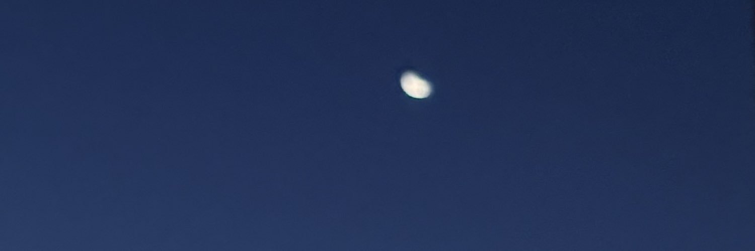 🇵🇸 banner