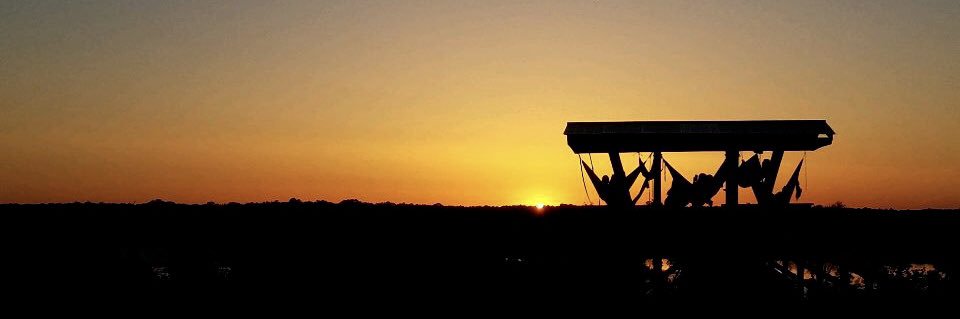 Shelby_Ferg's profile banner image