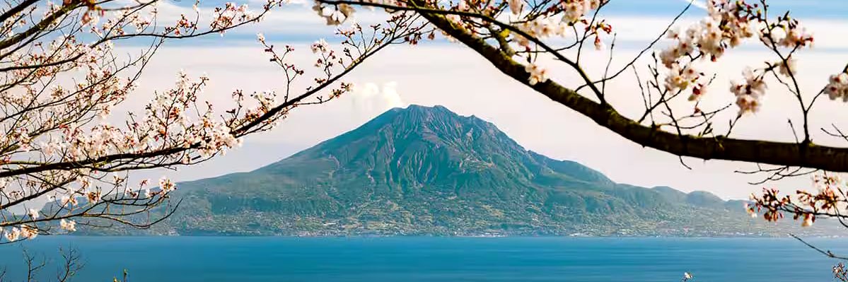 𐋏𐋏 𐌛𐋏𐌏𐌕𐌏 📸 banner