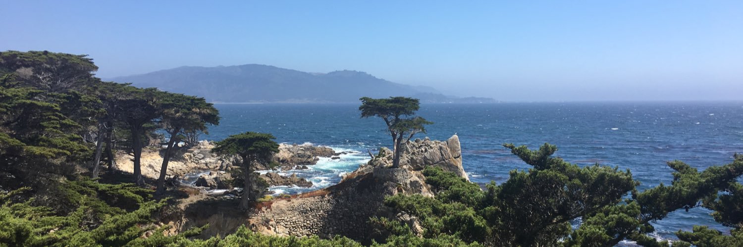 Rajive Mathur banner