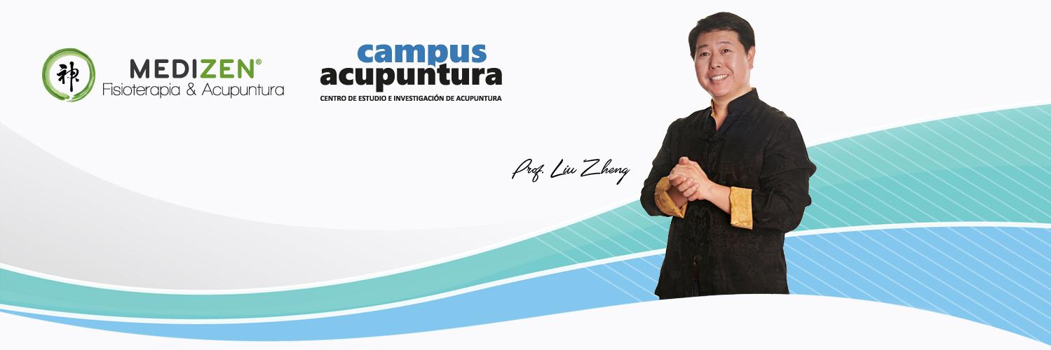 ProfLiuZheng's profile banner image