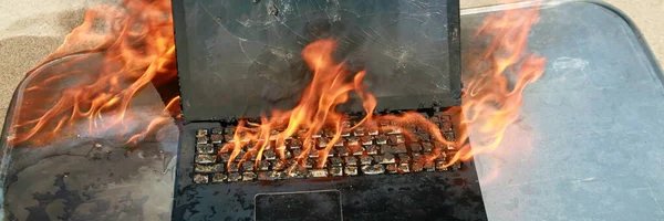 walleNcs Profile Banner