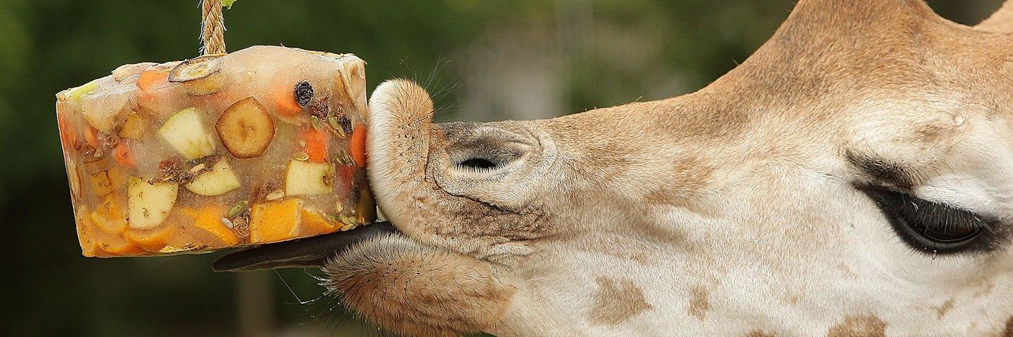 Makov_Vladimir's profile banner image
