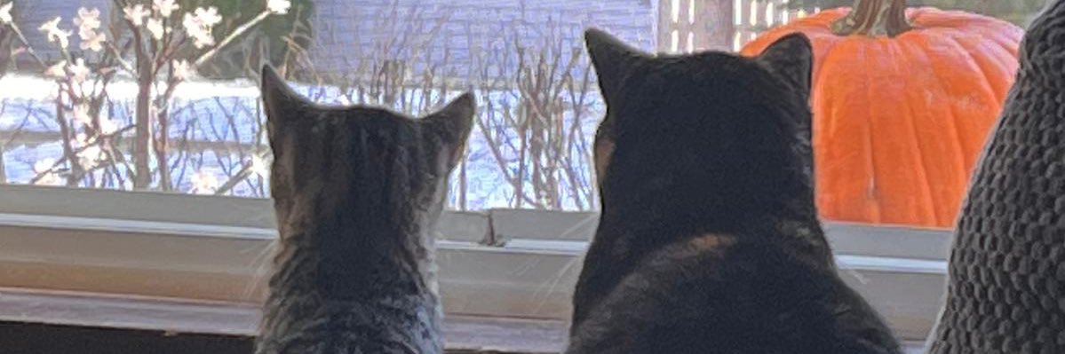 Mrs.L 🤘🖕💋 banner