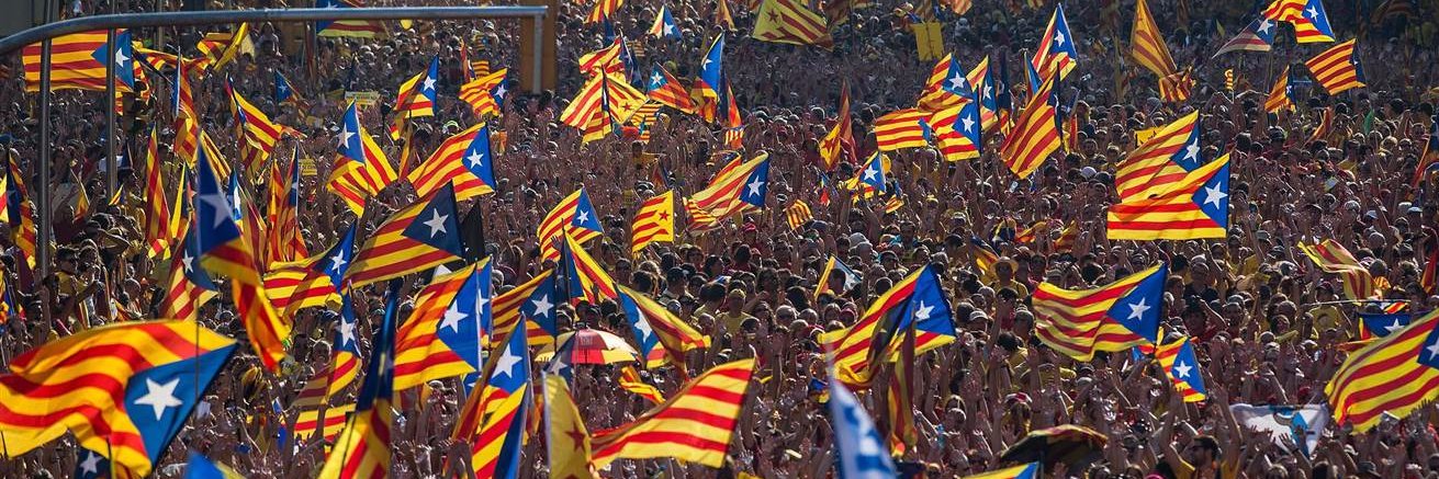 Estelada ||*|| ☆彡 🎗 banner