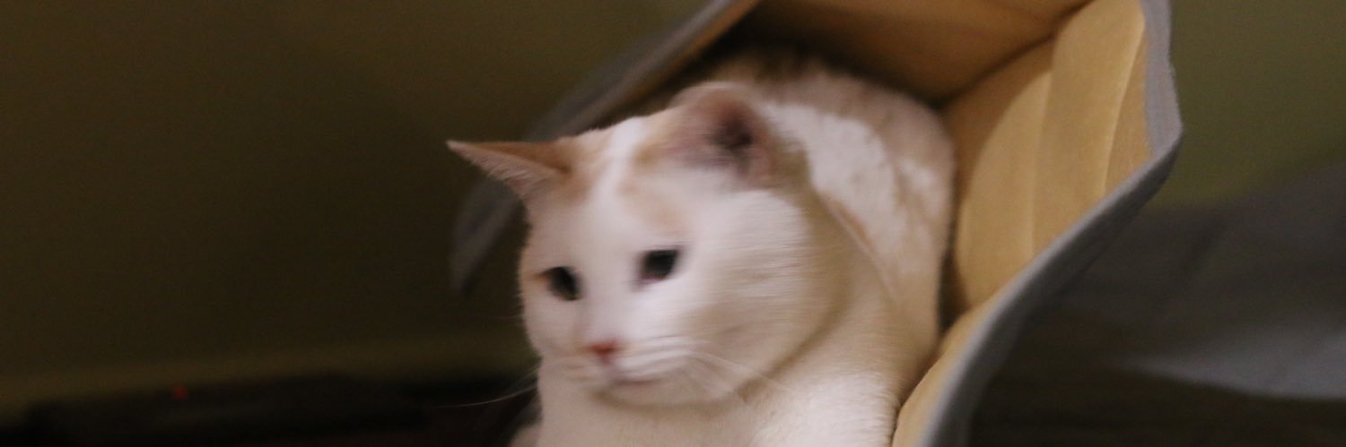 npline's profile banner image