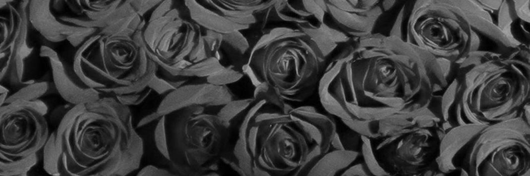 Elocinamber's profile banner image