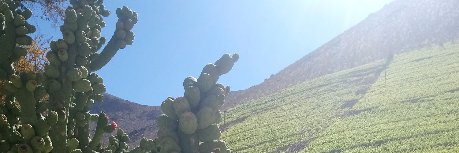 aolmosche's profile banner image