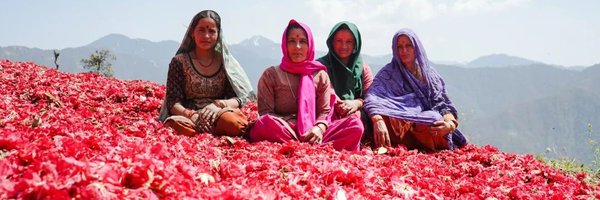 EndangeredHimal Profile Banner