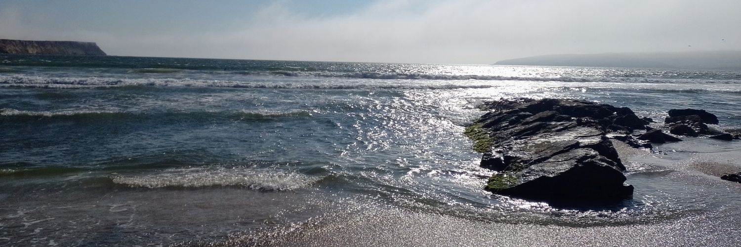 jennblo's profile banner image