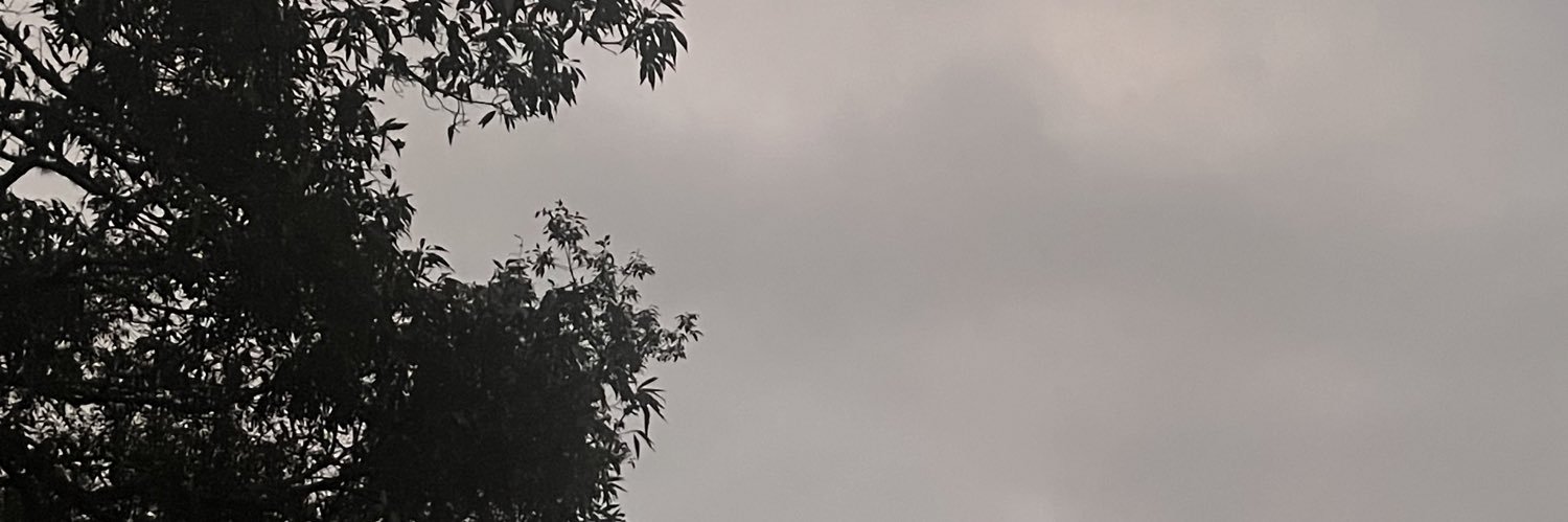 P banner