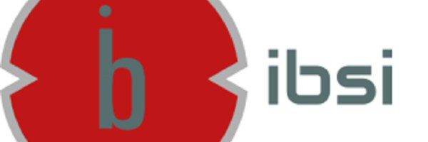 ibsolutionsind Profile Banner