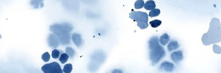 Robert_Yanco's profile banner image