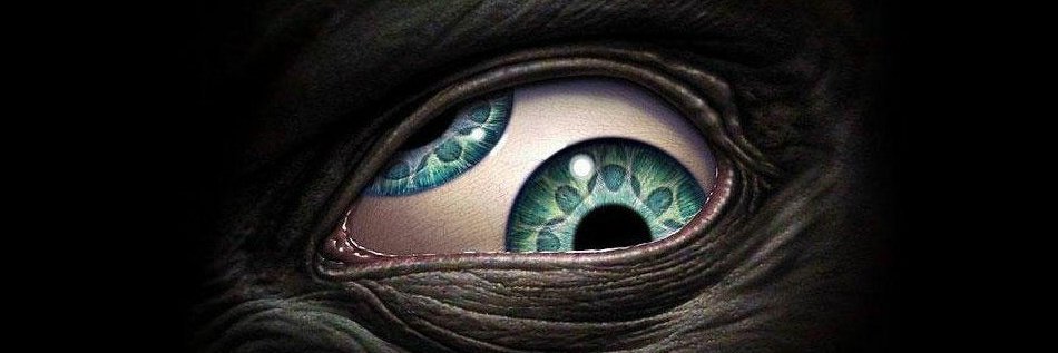 dredg80's profile banner image