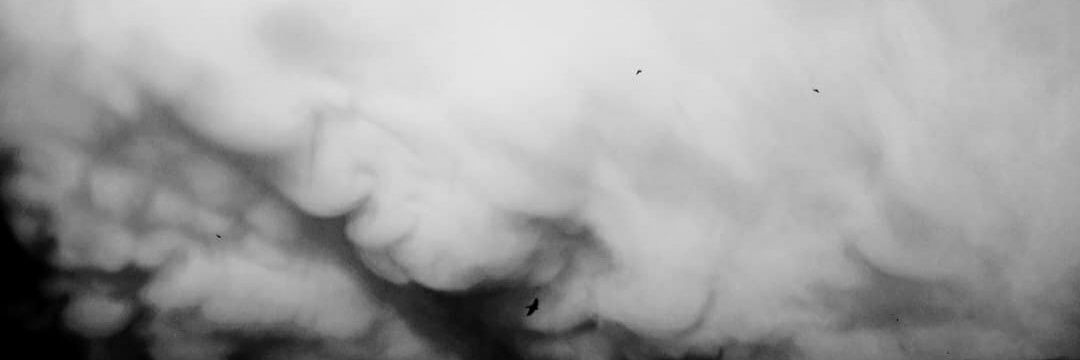 estelibars's profile banner image