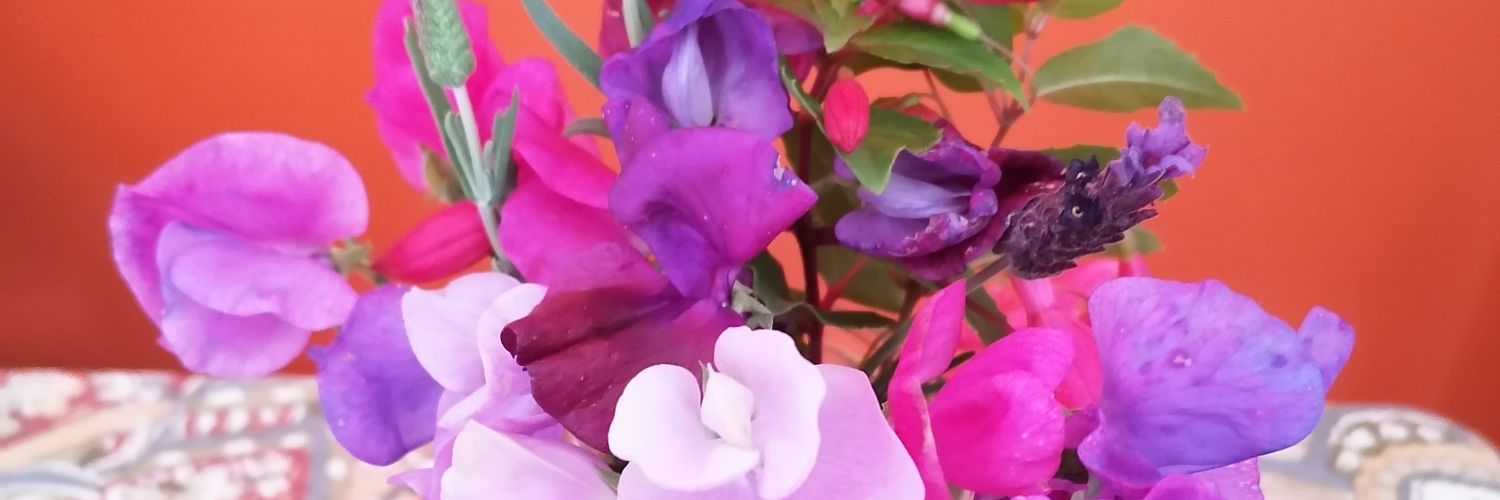 Salanne64's profile banner image