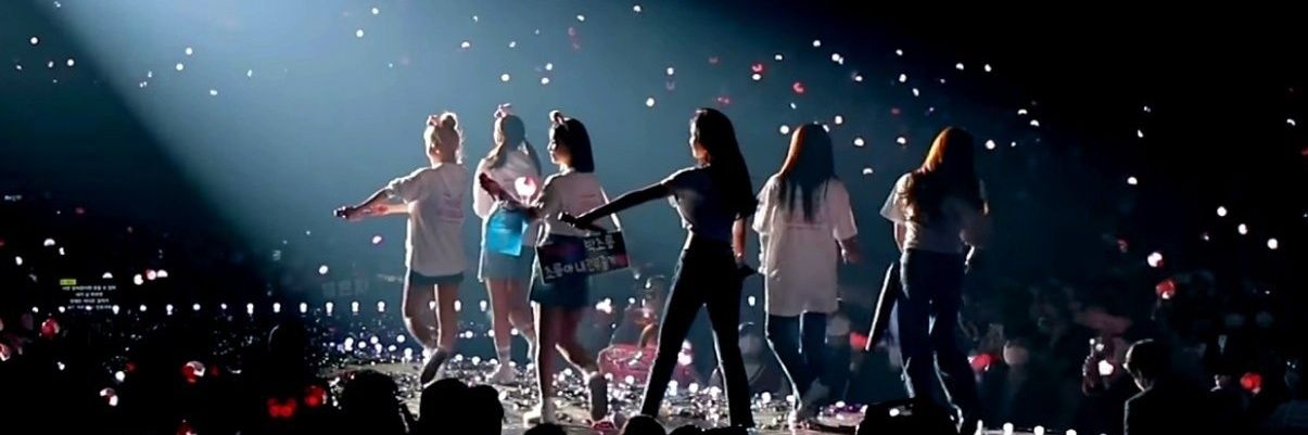 🐼 banner