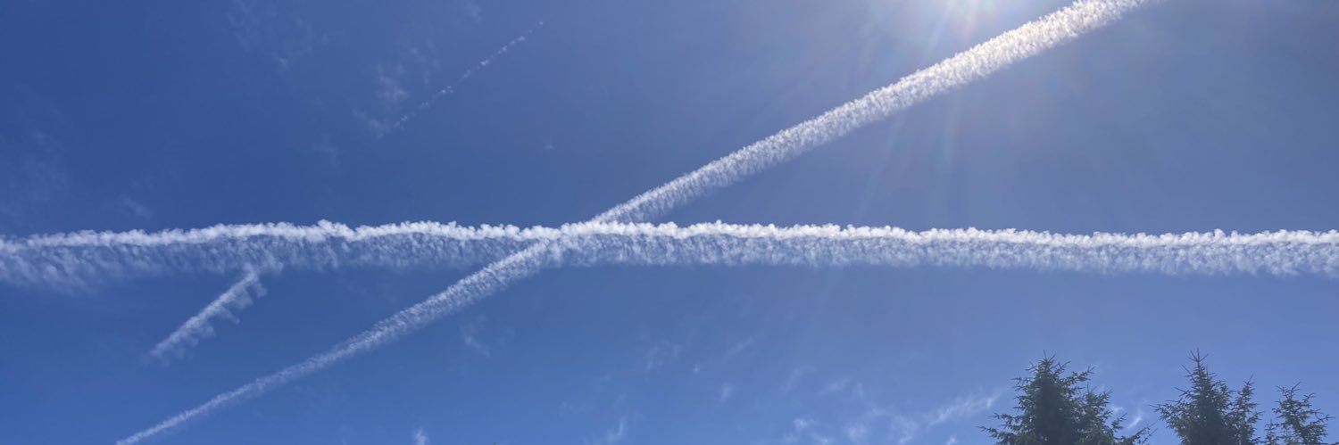 Prof Val Speirs banner