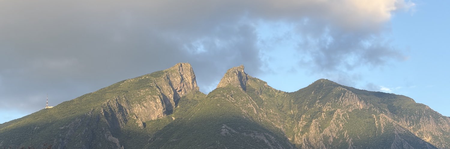 nataliOlazaran's profile banner image