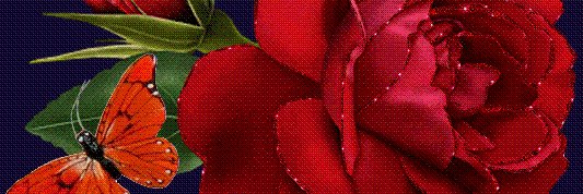 Alime60's profile banner image