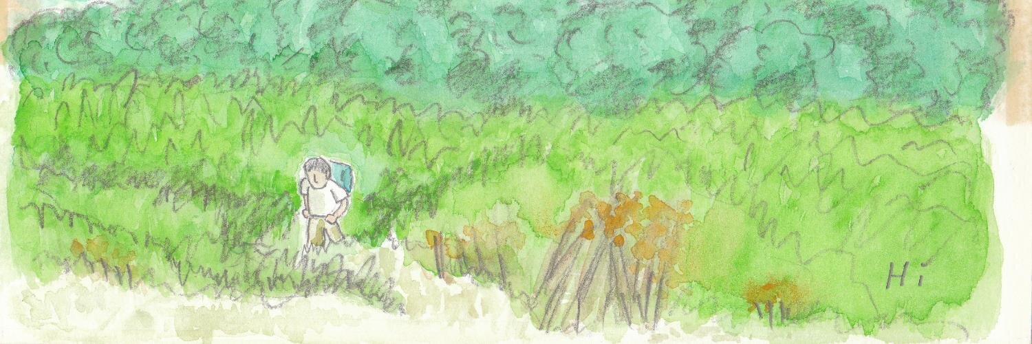 casseroleeditor's profile banner image