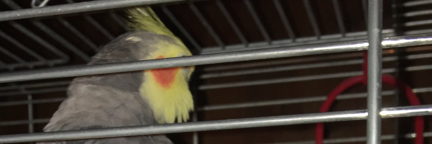 ladysilver44_'s profile banner image