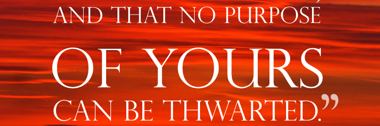 Rick Porterfield banner