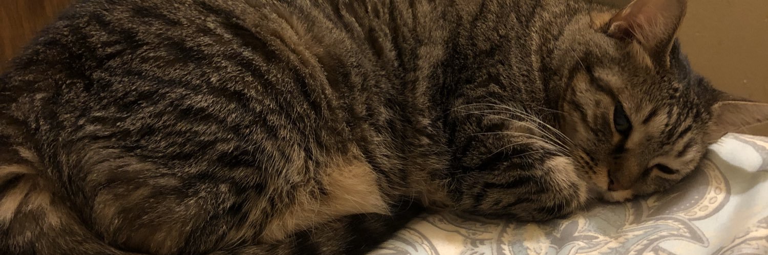 Fineena_'s profile banner image