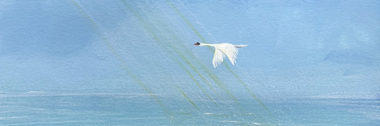 LauriBL's profile banner image