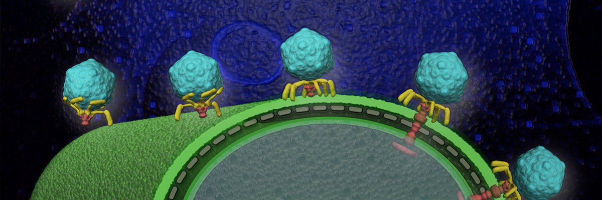 Jun Liu Lab's banner