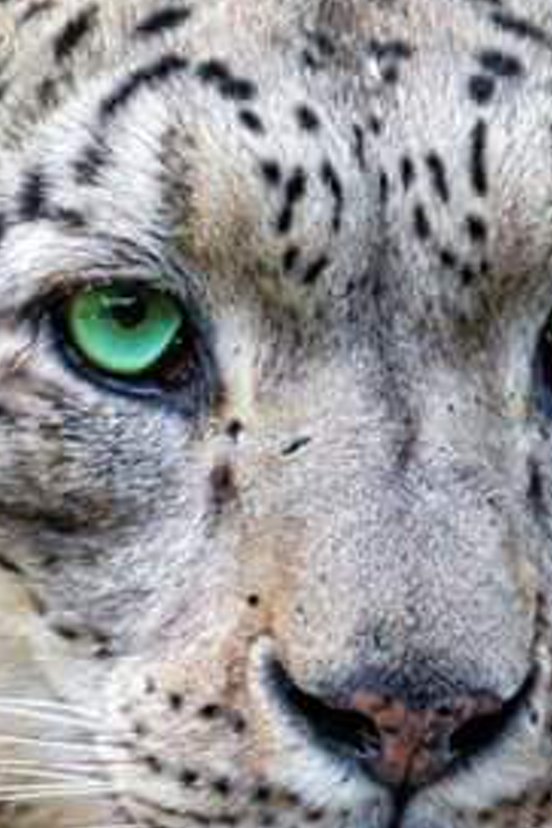 Tarook63Tarek's profile banner image