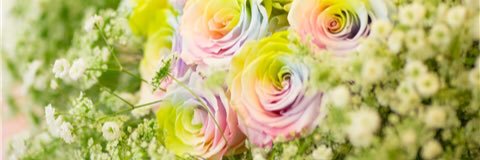 shotmkst25's profile banner image