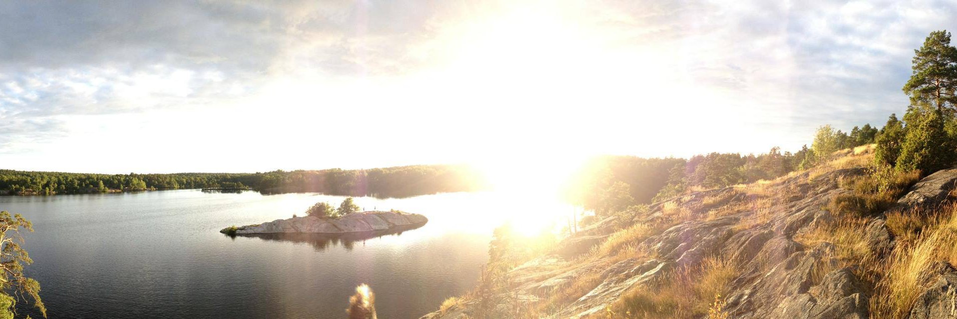 Daniel Roeven banner