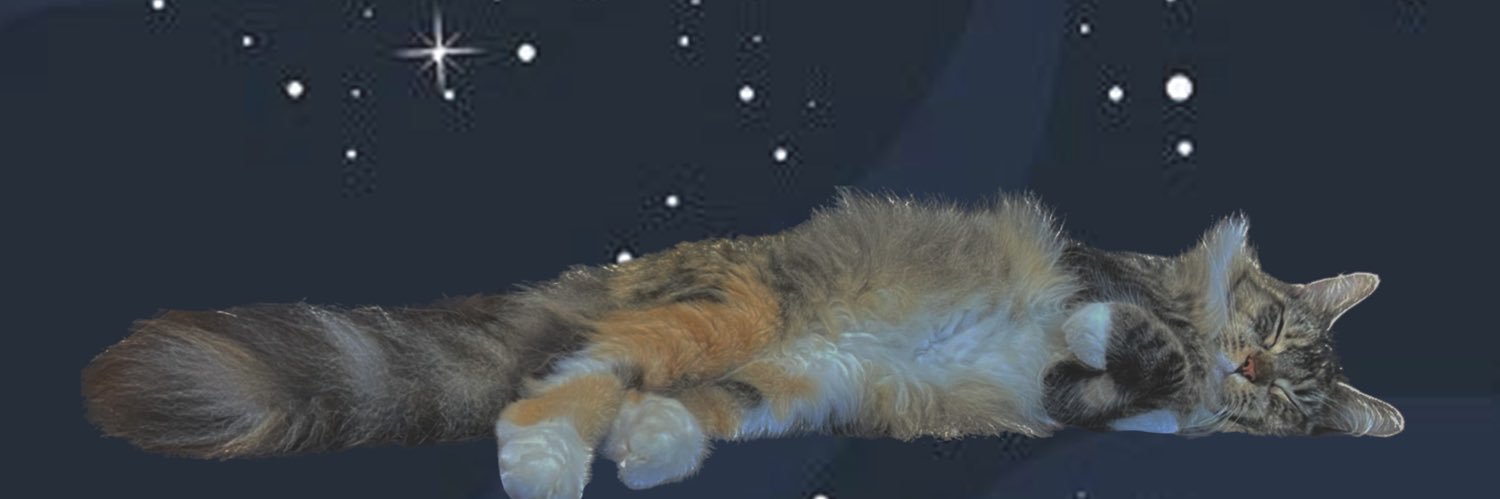 REMIaow1202's profile banner image