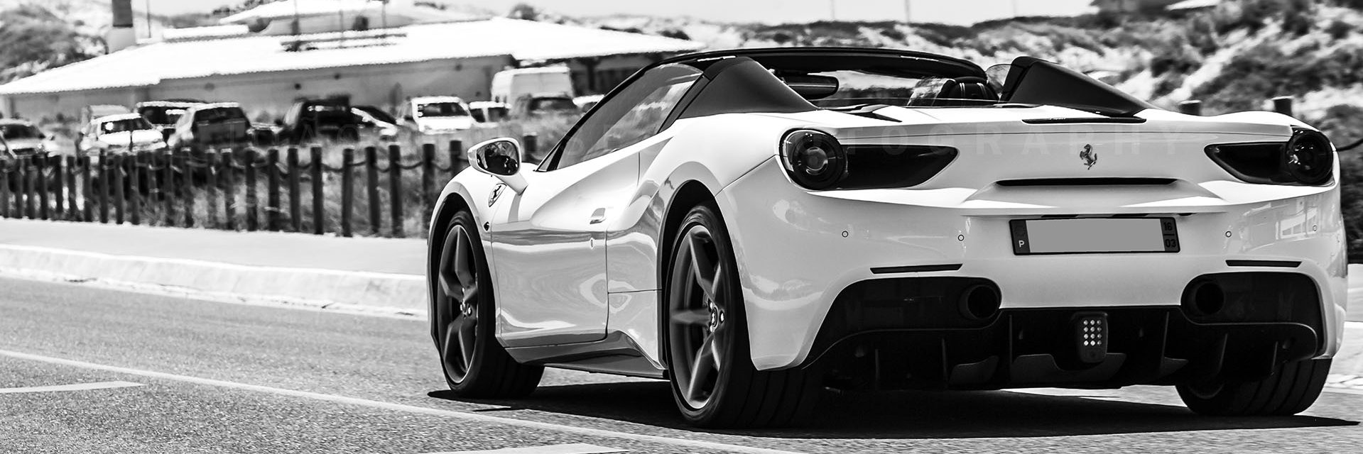 José Netto 🇵🇹 banner