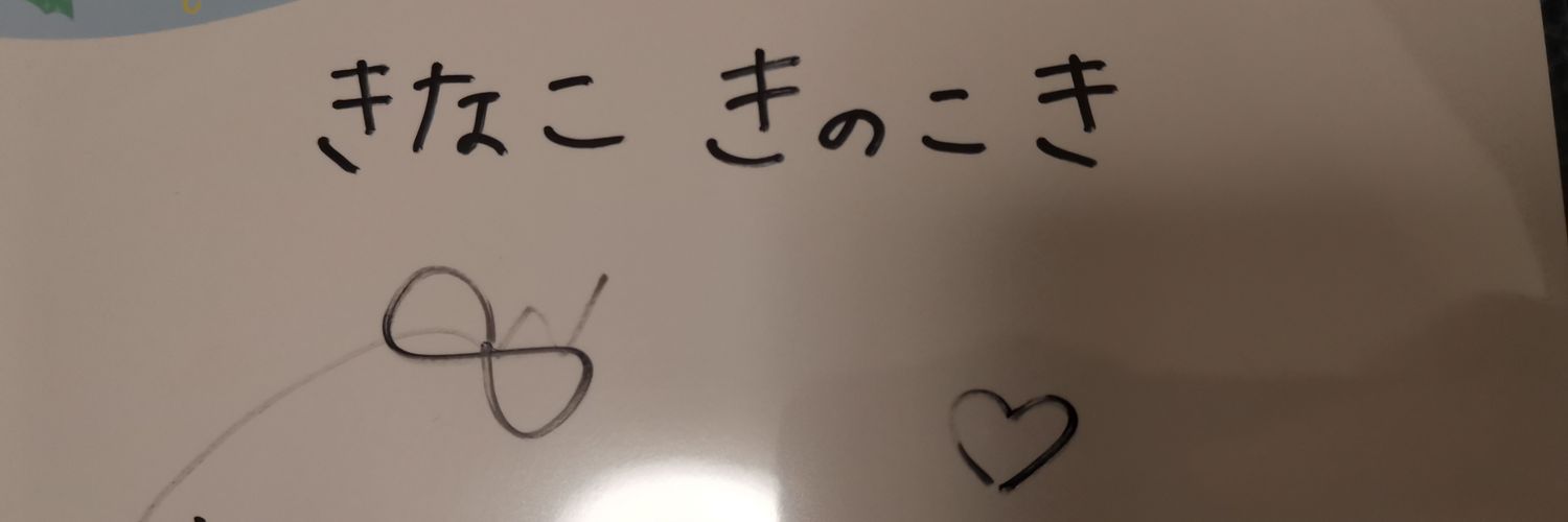 satohkinako's profile banner image