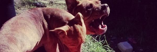 FedeDmGonzalez's profile banner image