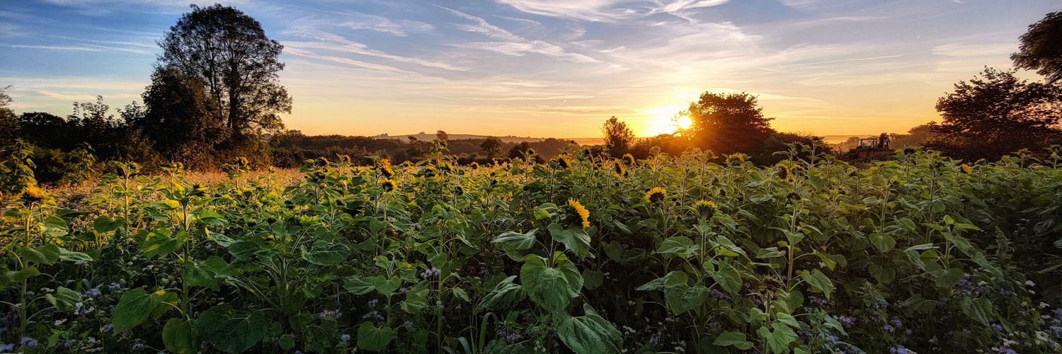 luke westacott banner