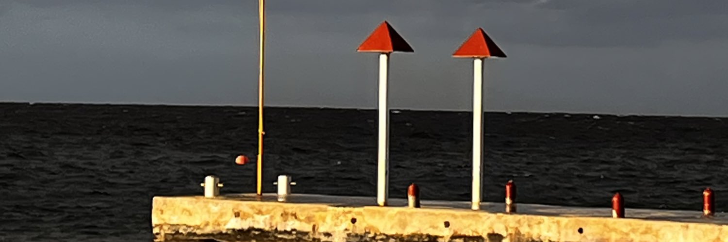 alaide_notengo's profile banner image