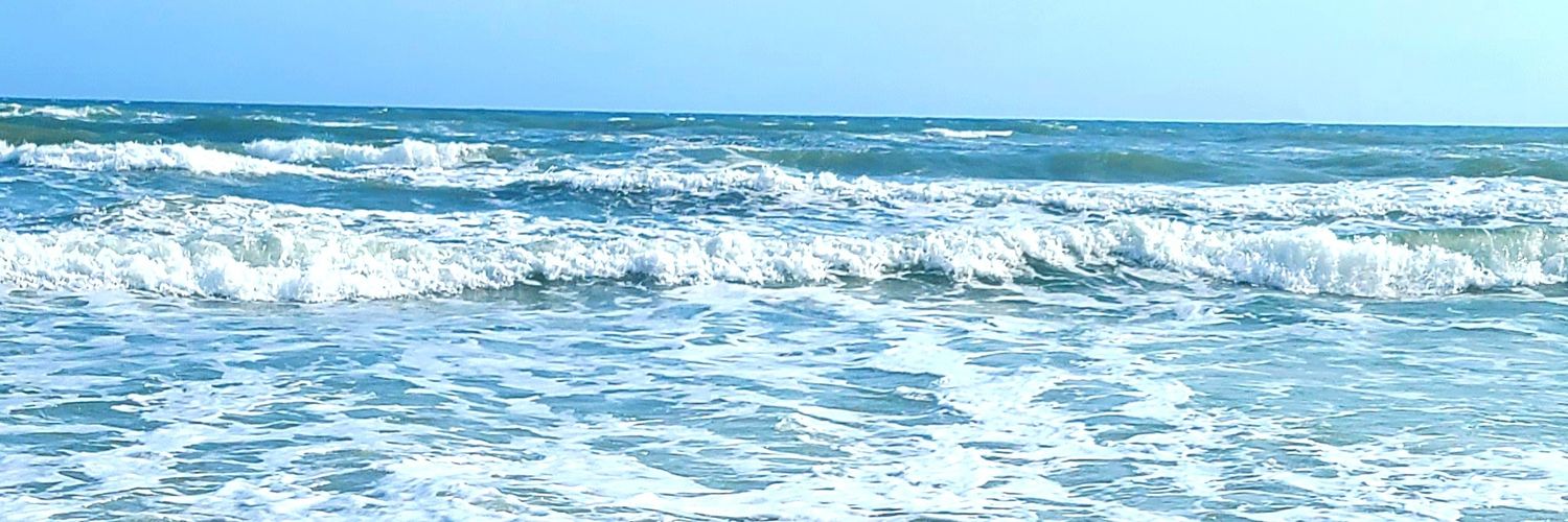 JennaBarney's profile banner image